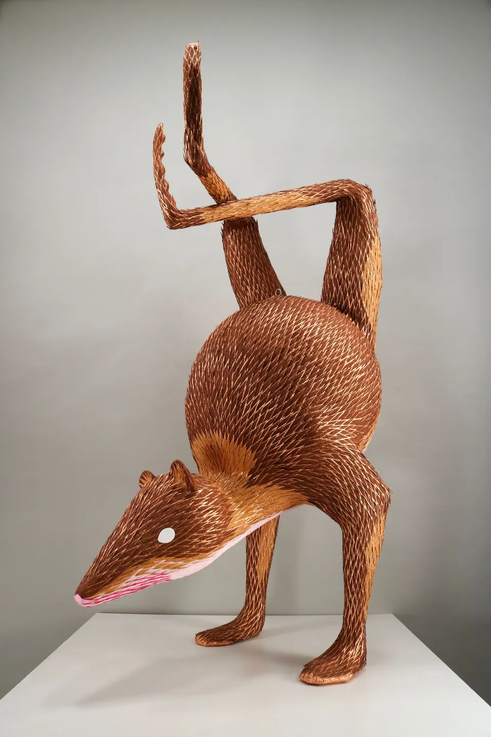 Roberto Benavidez, Bosch Beast No. 4