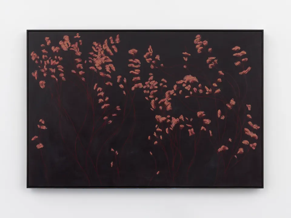 Alexandria Tarver, nights, 84