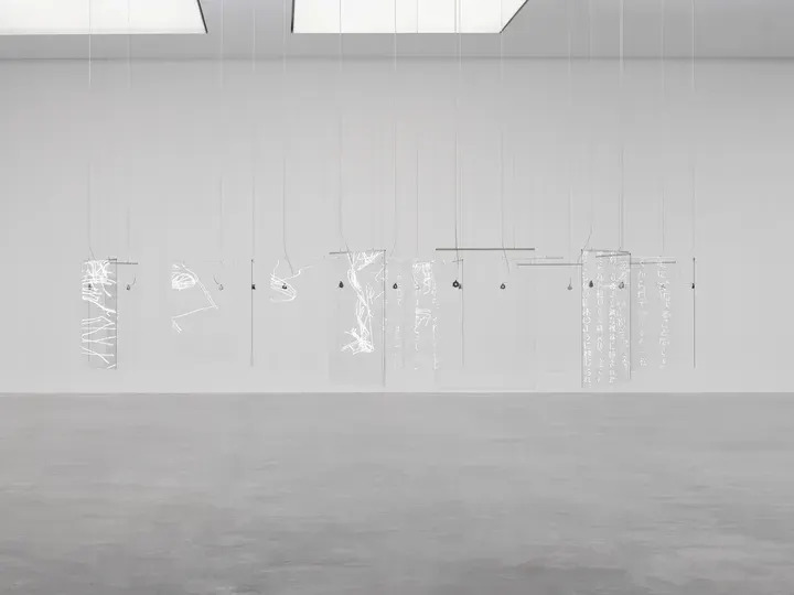 Cerith Wyn Evans, Pli S=E=L=O=N Pli