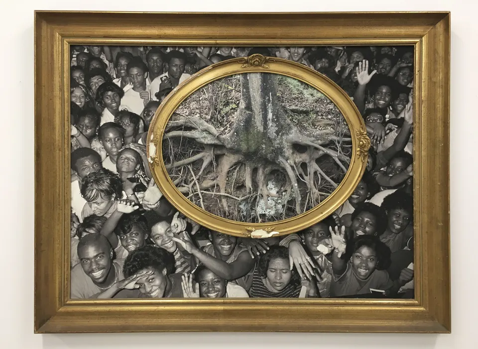Todd Gray, Flora Africanus (D.C)