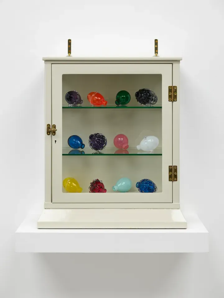 Mona Hatoum, Still Life (medical cabinet) VI
