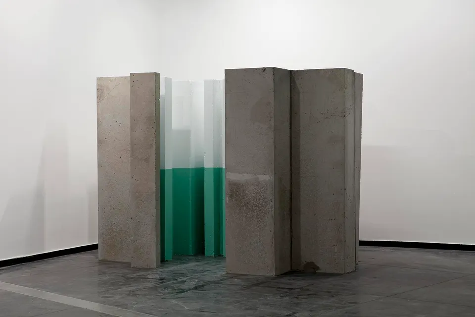 Monika Sosnowska, wall