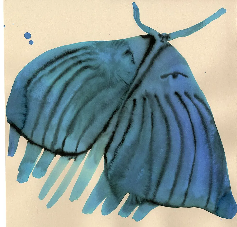 Emma Kohlmann, Interior Blue Series