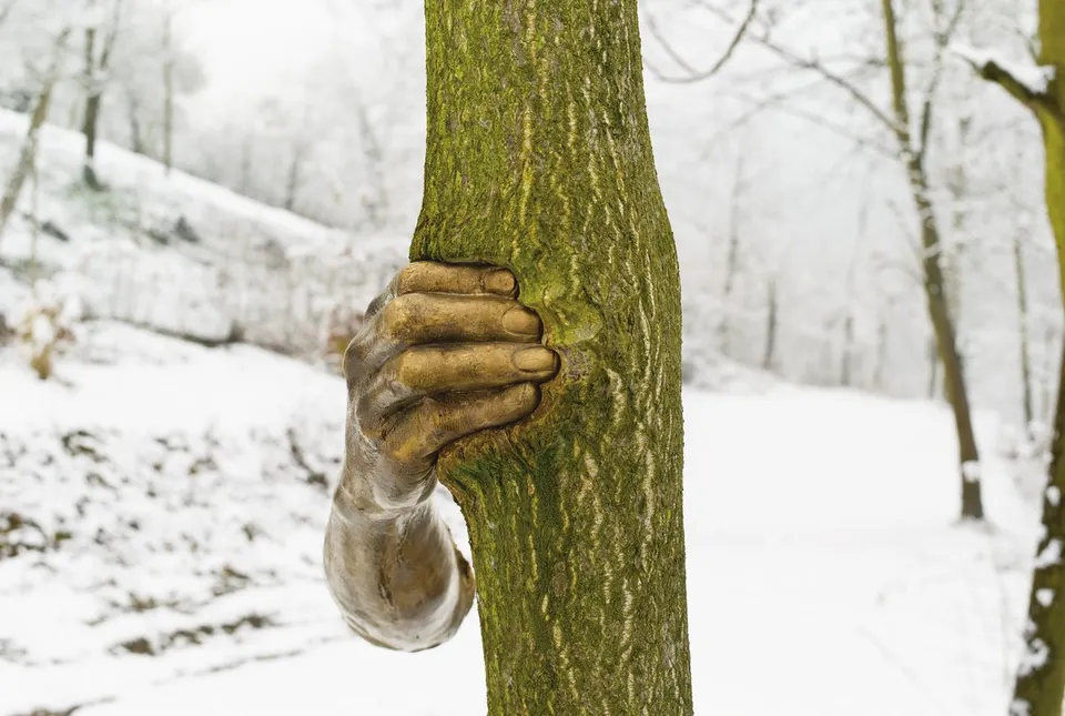 Giuseppe Penone, Giuseppe Penone Alpi Marittime – Continuerà a crescere tranne che in quel punto (Maritime Alps – It Will Continue to Grow except at That Point)