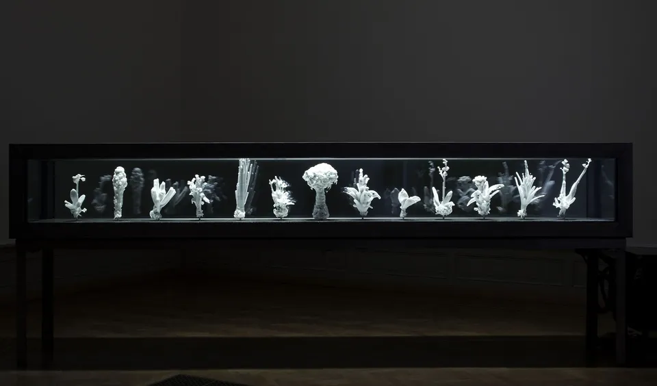 Julian Charrière, Tropisme