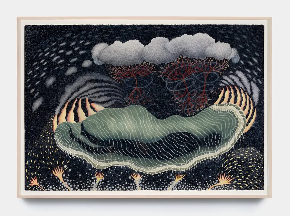 Ann Leda Shapiro, Tornado