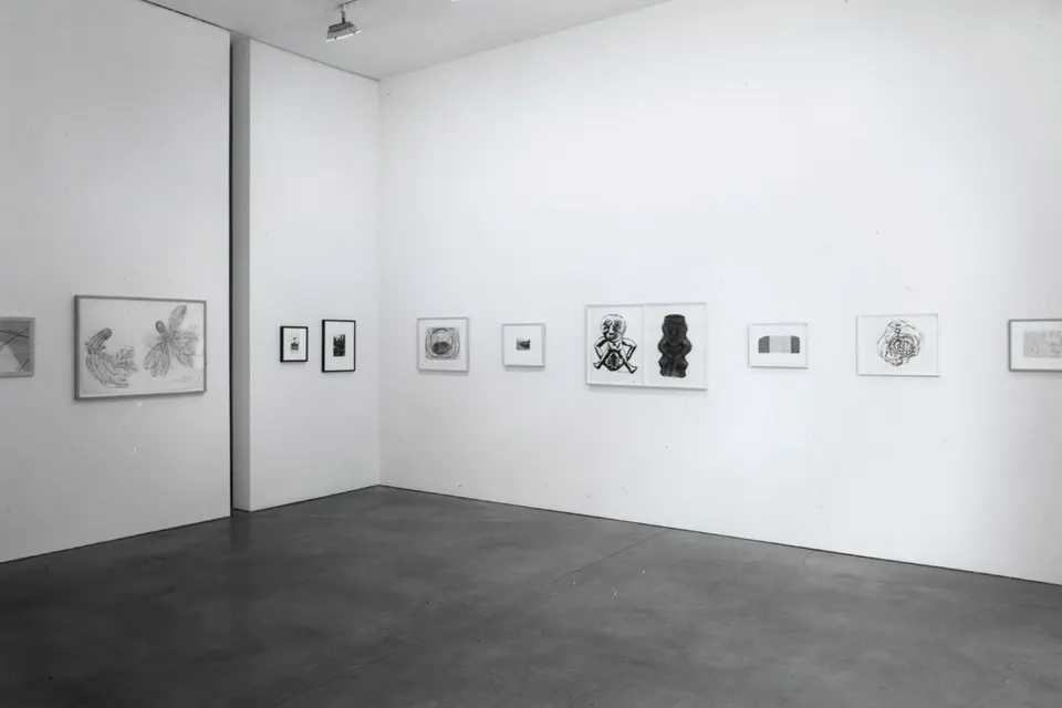 Leon Golub, Amnesty International Benefit Drawing Show