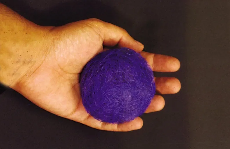 Amelia Toledo, Fiapeirinha – homenagem a Beuys
