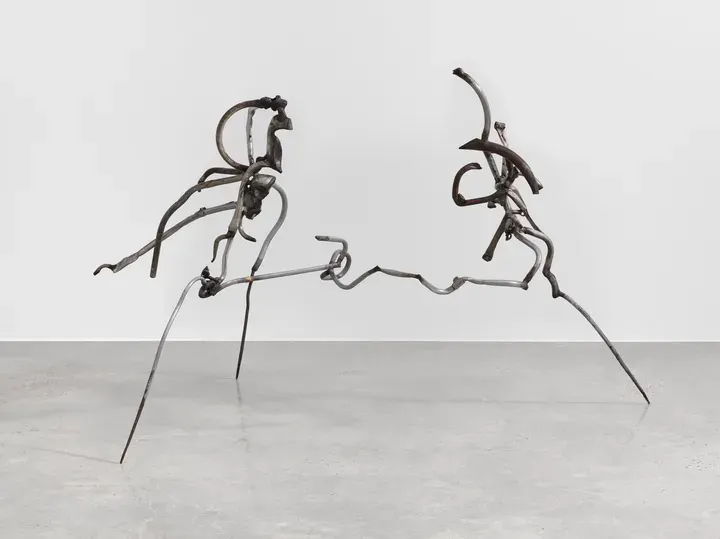 Richard Hunt, Opposed Linear Forms
