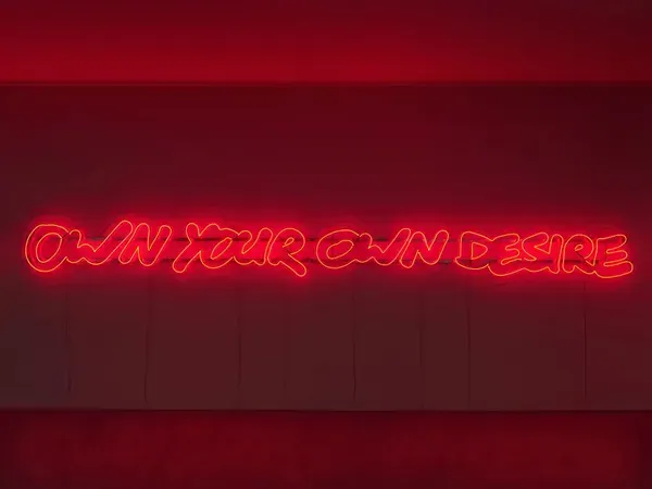 Monica Bonvicini, Your Own