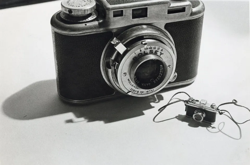 Laurie Simmons, Big Camera/Little Camera