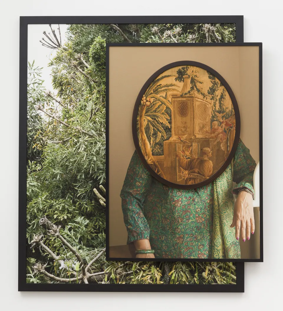 Todd Gray, Purnima