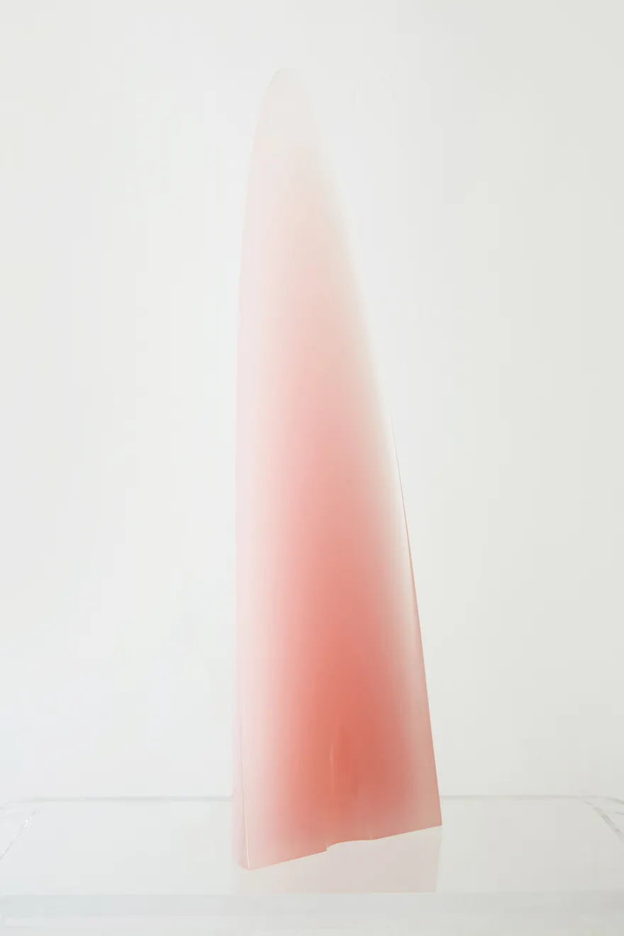 Fred Eversley, Pink Rising
