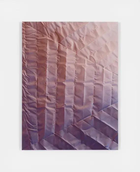 Tauba Auerbach, Untitled (Fold)