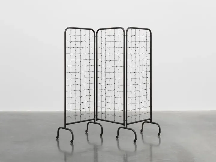 Mona Hatoum, Divide