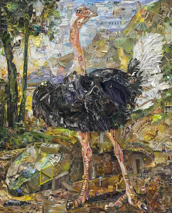 Vik Muniz, pictures of magazine 2: study of ostrich, after nicasius bernaerts