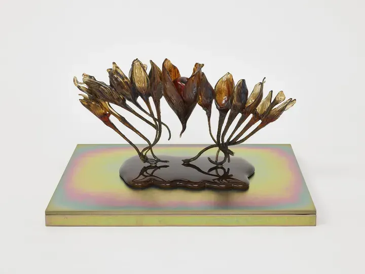MARGUERITE HUMEAU, dead skins