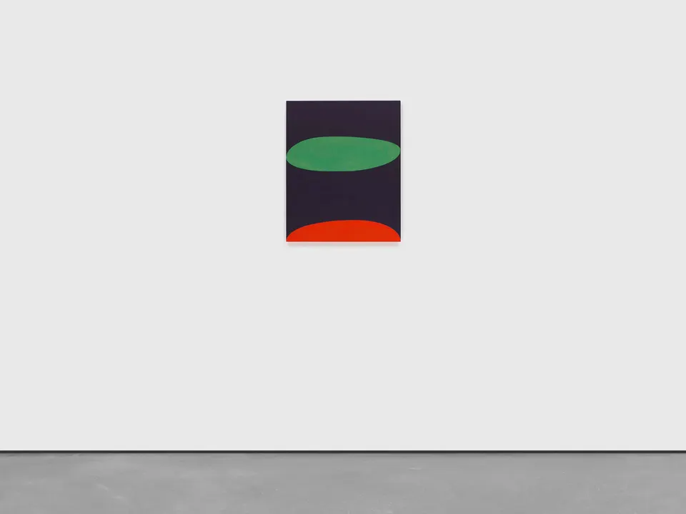 Suzan Frecon, high-pitched colors in darkness
