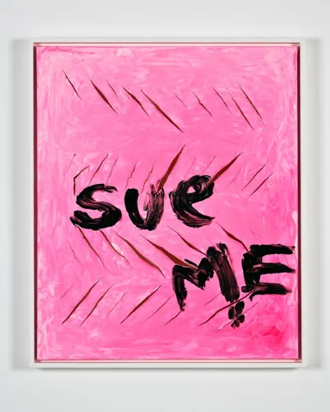 Sue Tompkins, Paintings and chiffon works