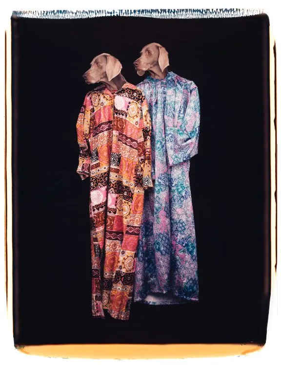 William Wegman, Look There