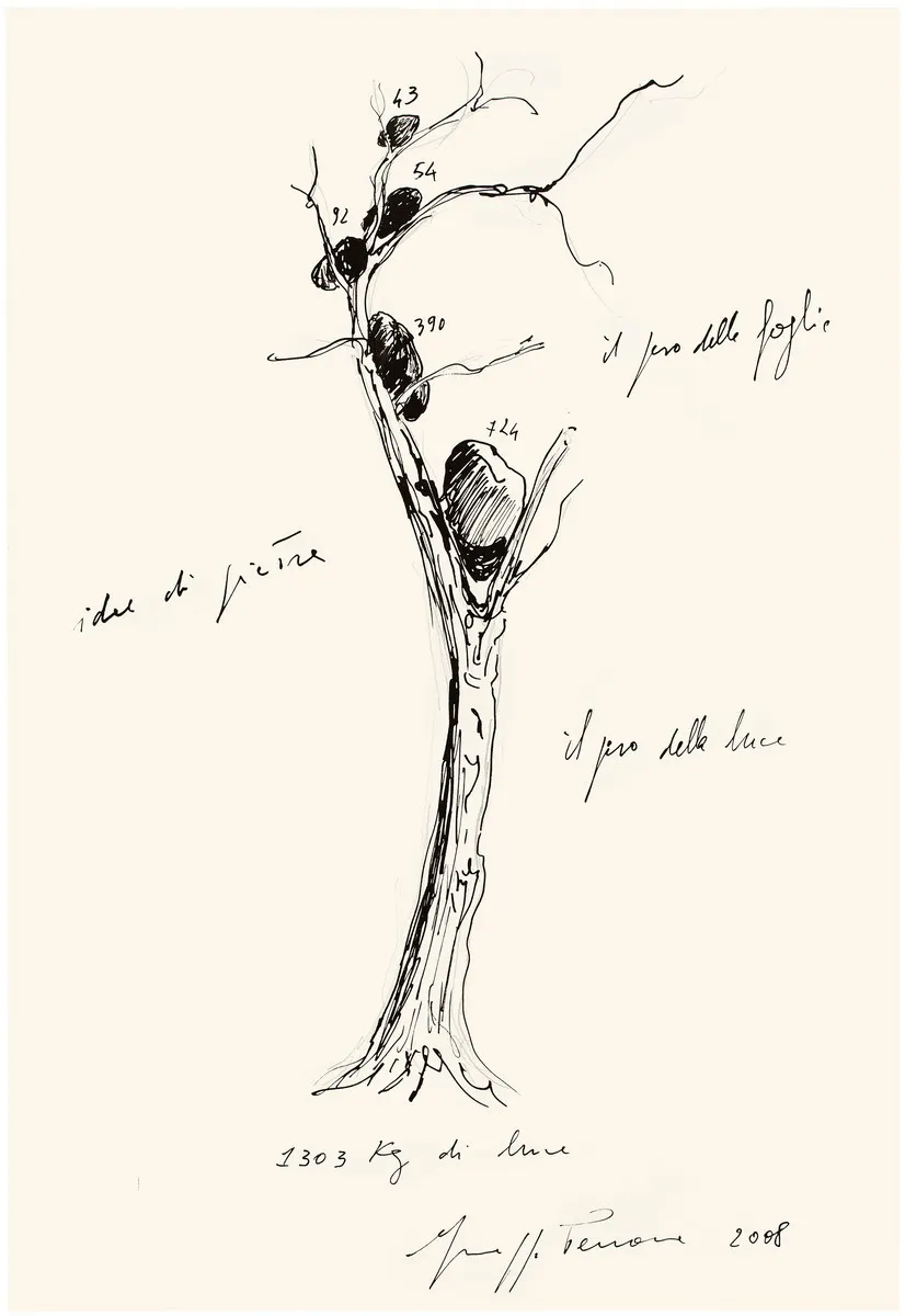 Giuseppe Penone, Giuseppe Penone Idee di pietra (Ideas of Stone)