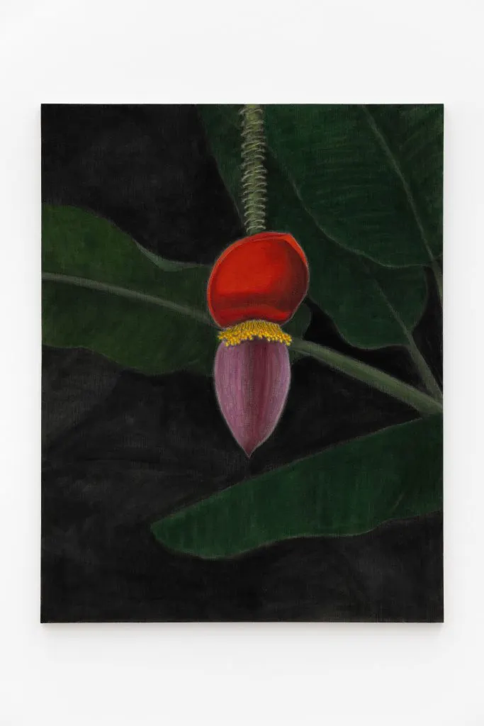 Kim Bohie, Towards