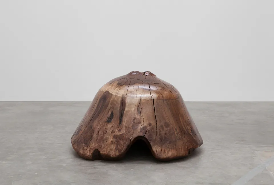 Alma Allen, Not Yet Titled