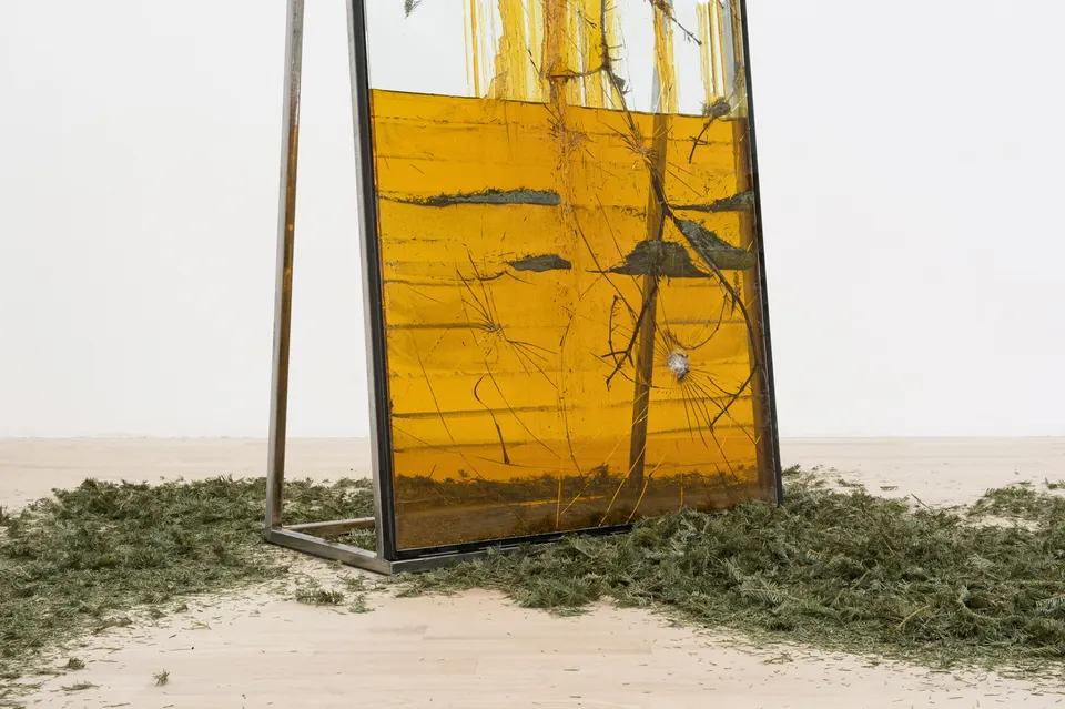 Jura Shust, Hardens the surface and heals the wound II