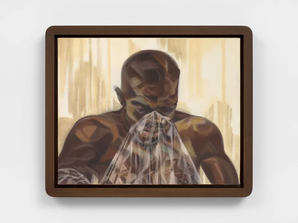 Toyin Ojih Odutola, Veil