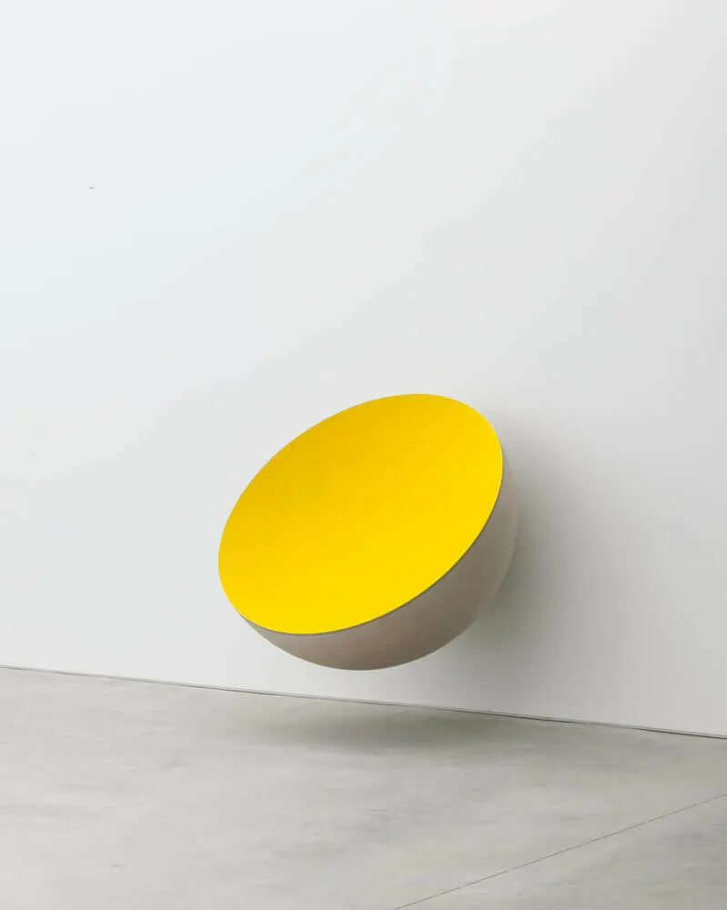 Anish Kapoor, Shine