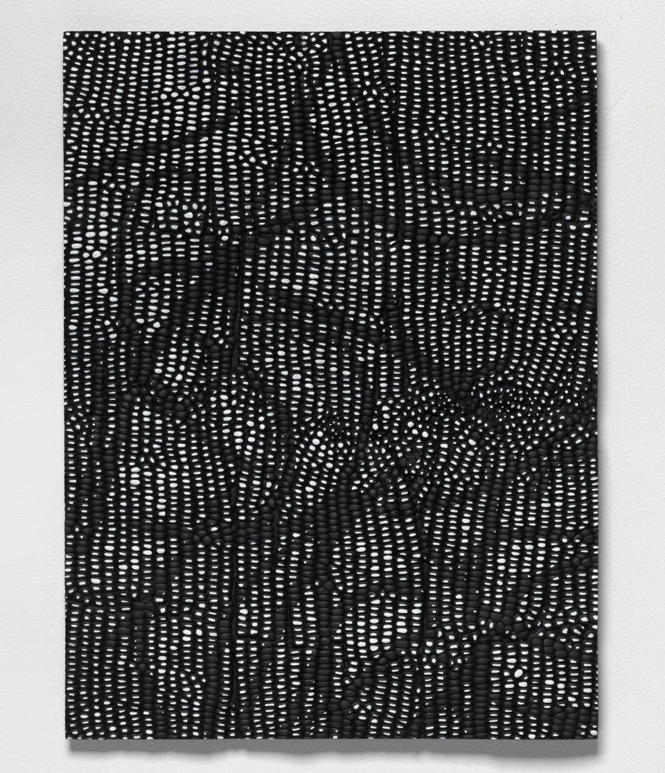 Lucy Kim, Vanilla Beans (Black and White) 1