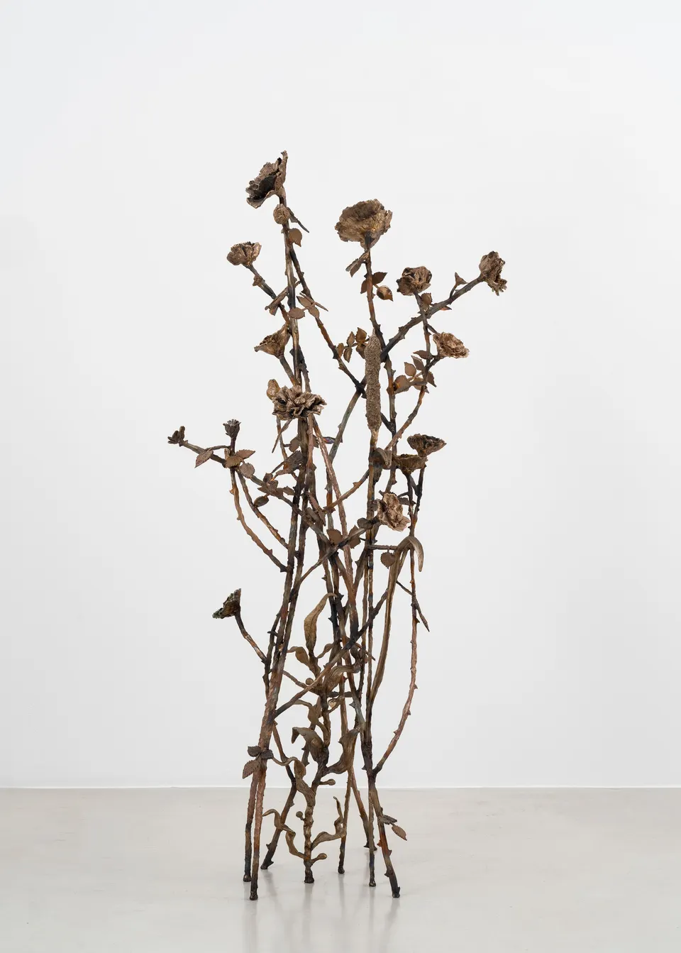 Jean-Marie Appriou, Echo's Garden