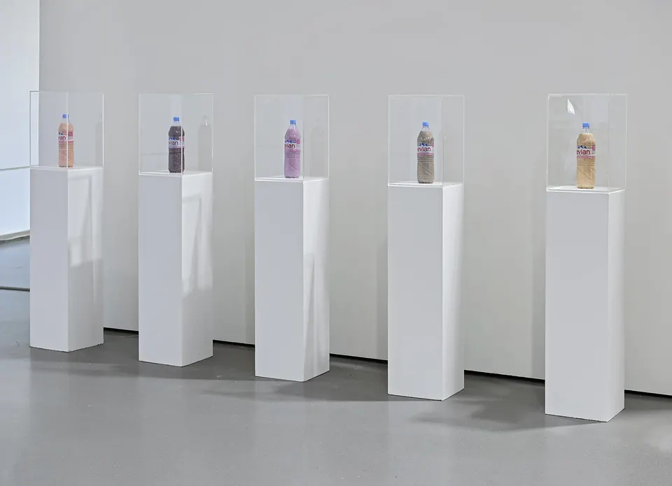 Pamela Rosenkranz, Pour Yourself