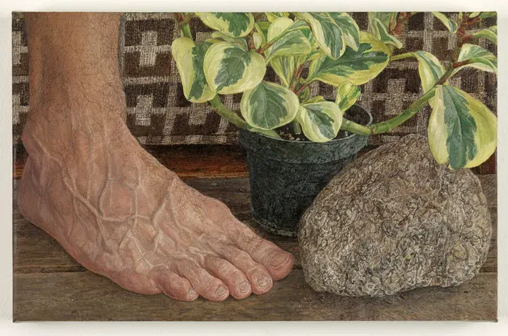Ellen Altfest, Rock, Foot, Plant