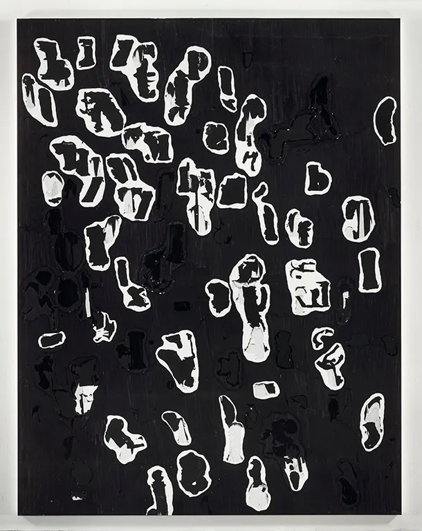 Glenn Ligon, Debris Field #2
