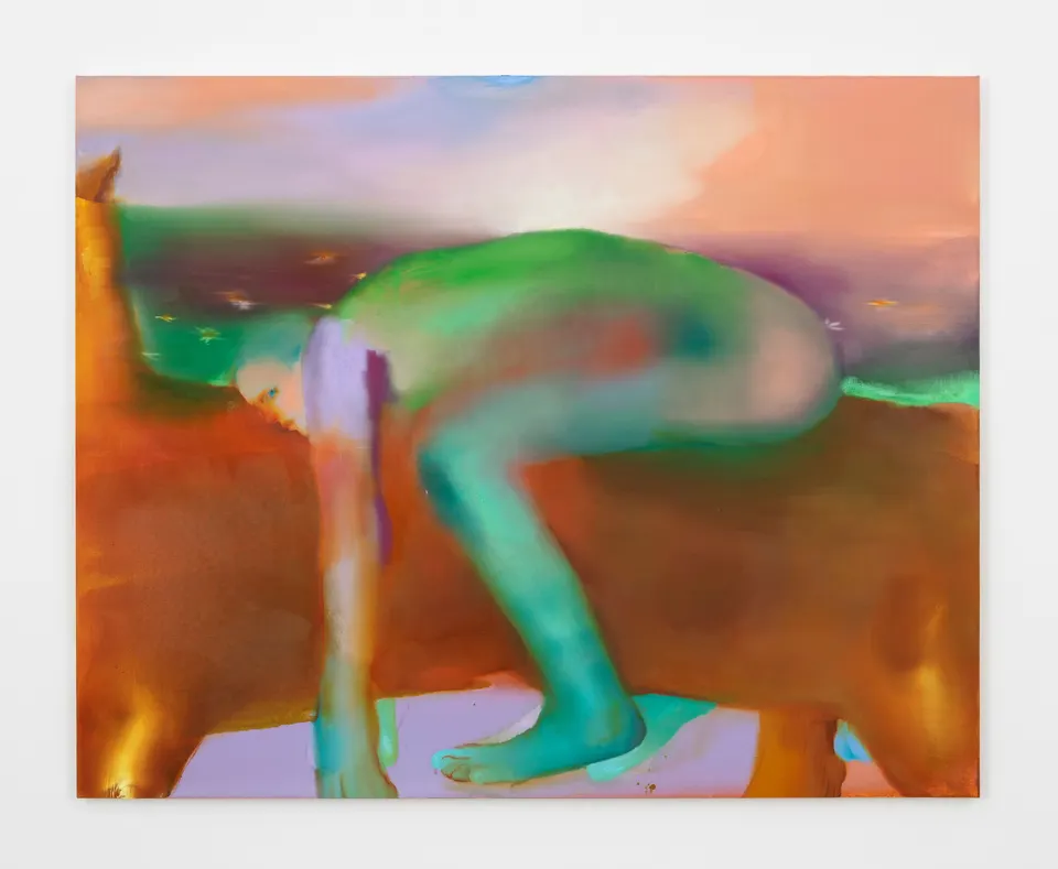 Elizabeth Glaessner, Rider