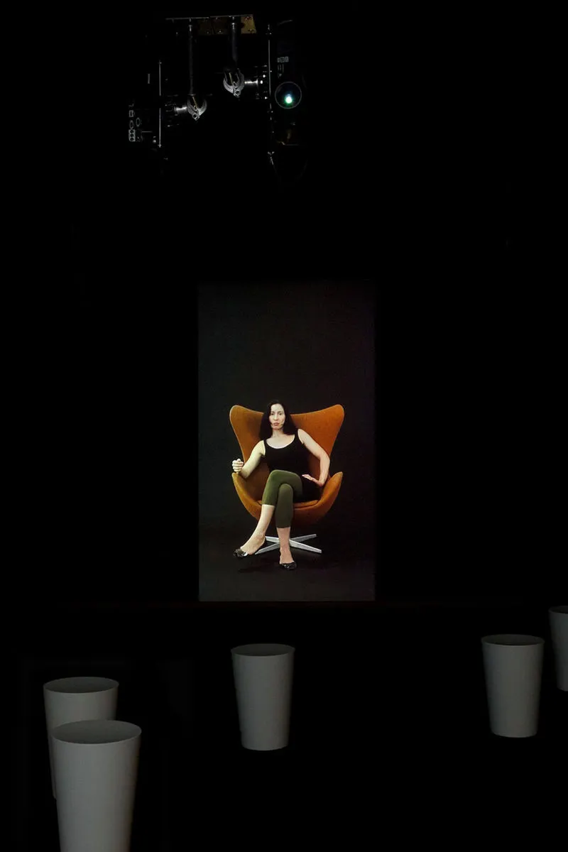 Andrea Fraser, Projection