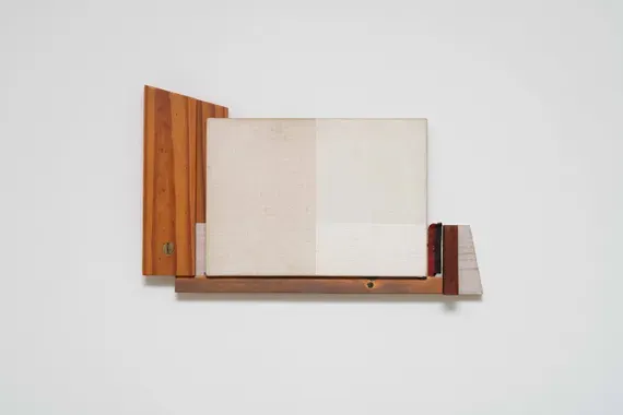 Ubirajara Ribeiro, Sem título [Untitled]