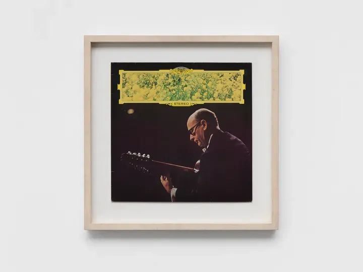 Christian Marclay, Yellow Flowers