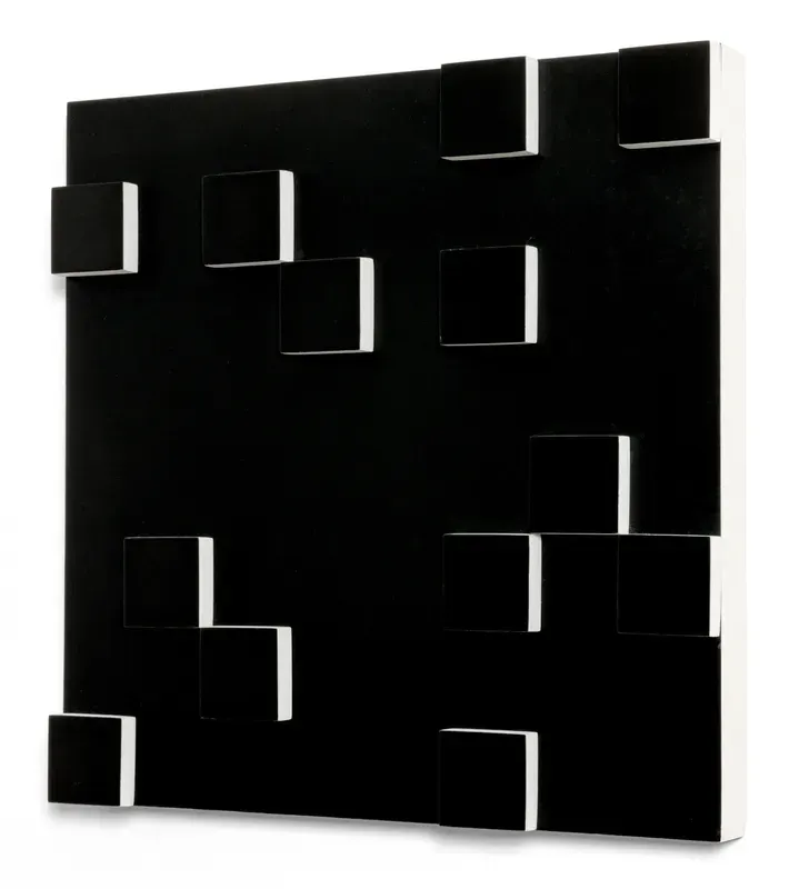Lygia Pape, Relevo (Relief)