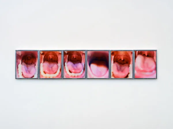 Farah Al Qasimi, Six Different Screams