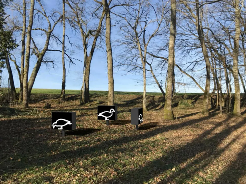 Julian Opie, Ducks.