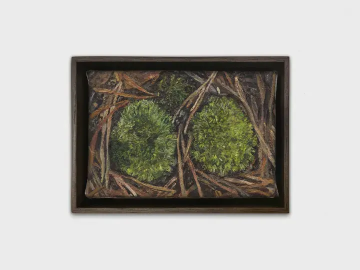 Ellen Altfest, Mountain Moss