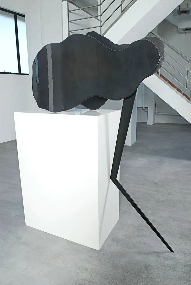 Nairy Baghramian, migraine