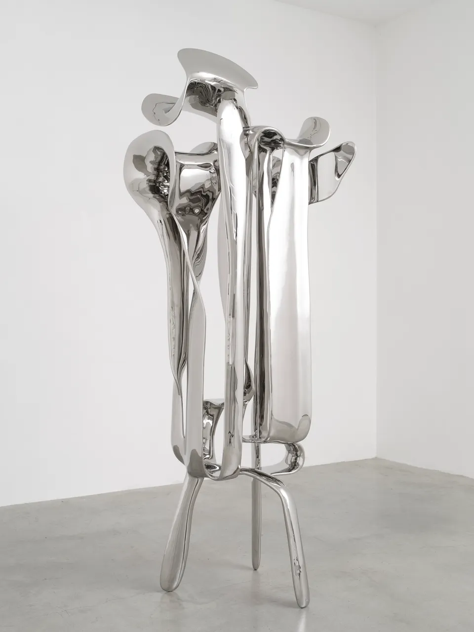 Tony Cragg, Incident