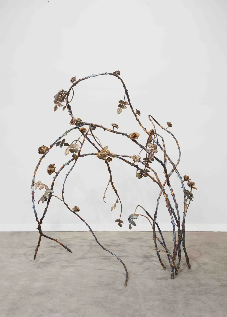 Jean-Marie Appriou, The Briar Rose (rosa x centifolia)