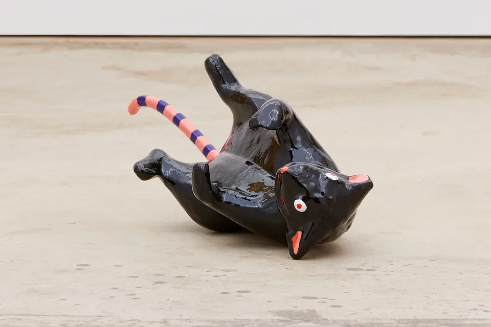 Will Boone, One Black Rat
