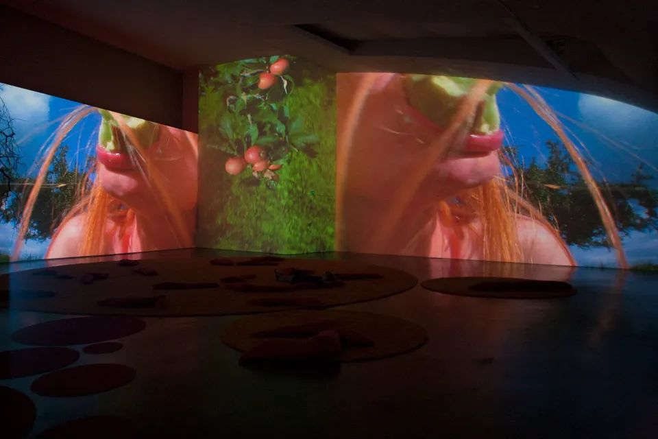 Pipilotti Rist, Lungenflügel (Lobe of the Lung)