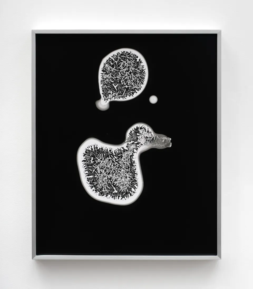 Kelly Akashi, Formation