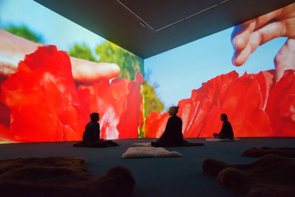 Pipilotti Rist, Mercy Garden (from the Mercy Work Family)